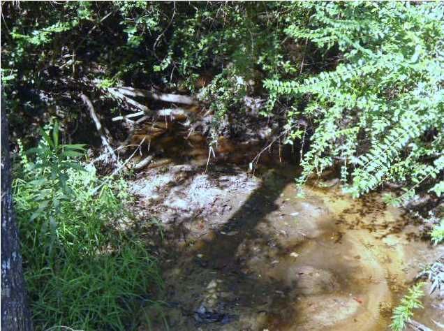 1084 And Price Roa Defuniak Springs DeFuniak Springs, FL 32433 - Photo 3 of 7 Additional Photo