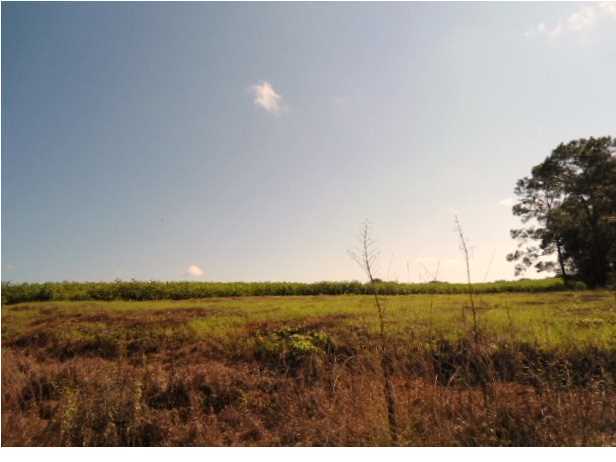 1084 And Price Roa Defuniak Springs DeFuniak Springs, FL 32433 - Photo 4 of 7 Additional Photo