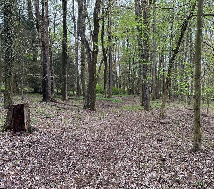 Lot 15 Woodlawn Road Butler, PA 16001 - Photo 4 of 4 a view of a forest with trees in the background