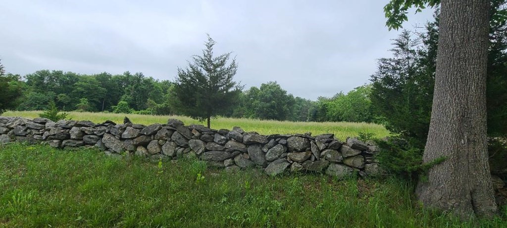 a view of a herd of animals grazing on a lush green field