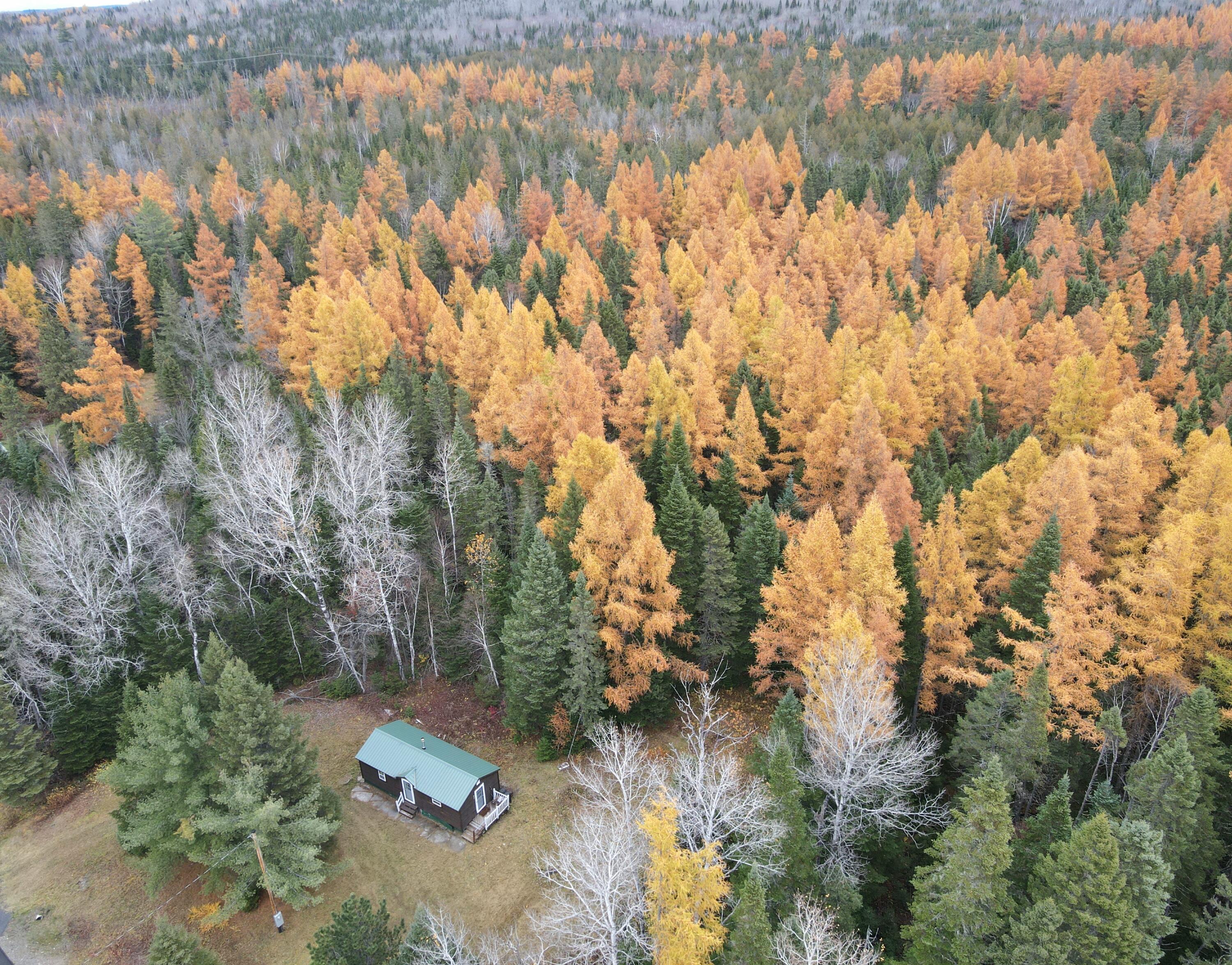 839 New Sweden Road New Sweden, ME 04762 - Photo 3 of 18 dji_fly_20251025_155910_127_176142454160