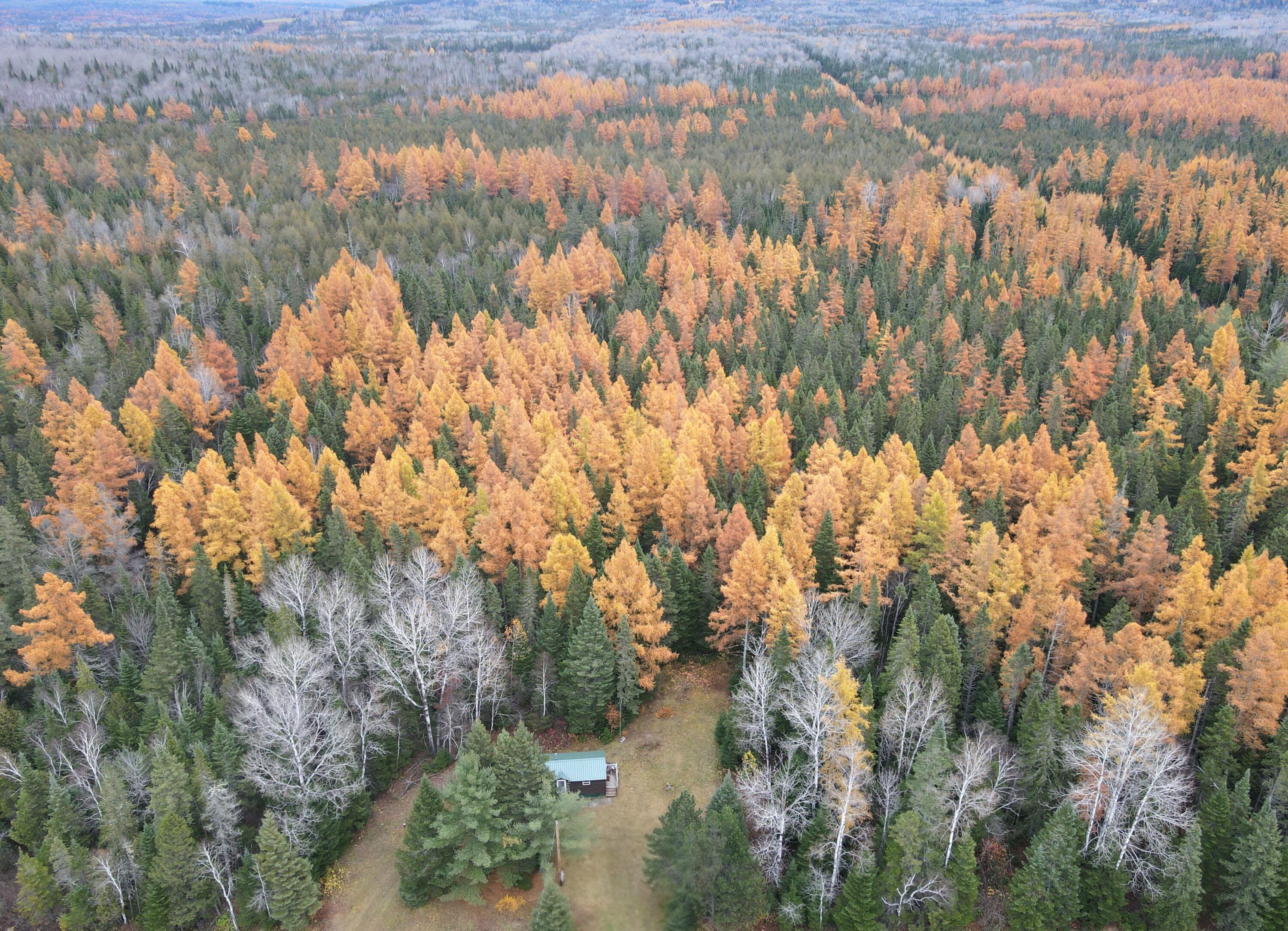 839 New Sweden Road New Sweden, ME 04762 - Photo 4 of 18 dji_fly_20251025_155824_120_176142455564