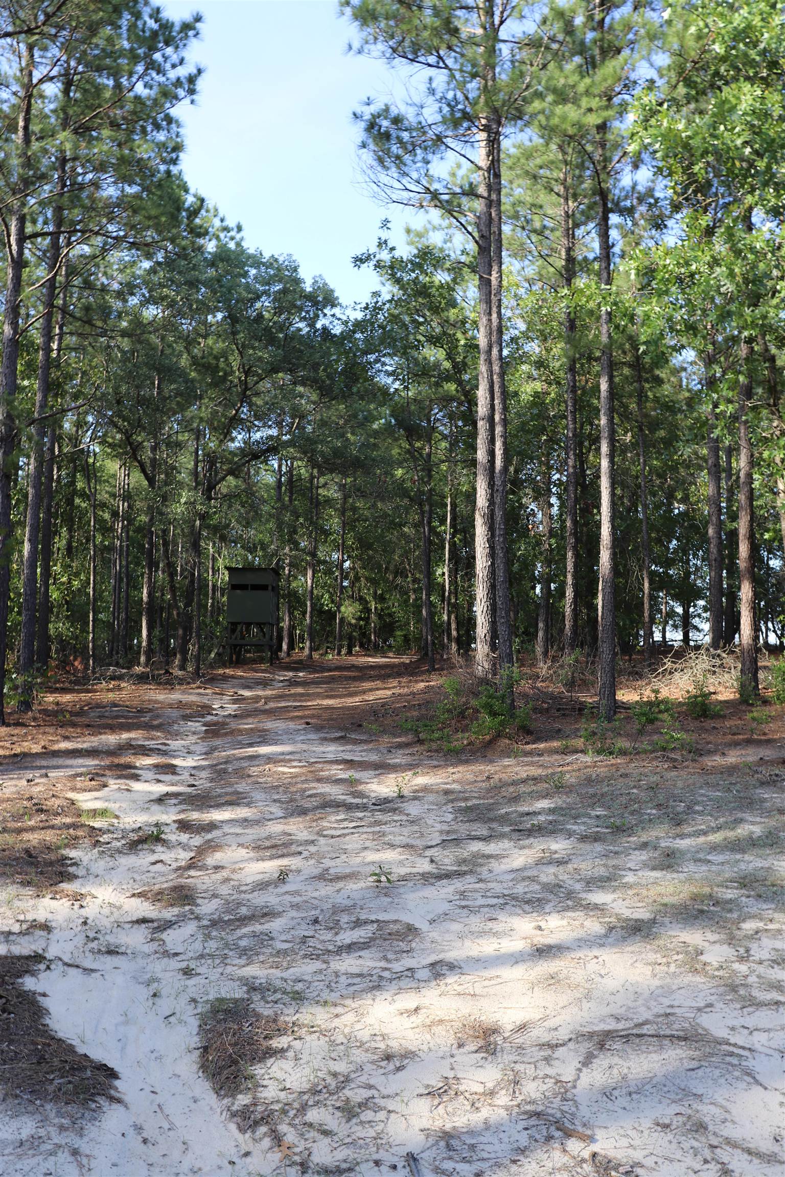2631 Charlie Johnson Road Bethune, SC 29009 - Photo 29 of 29