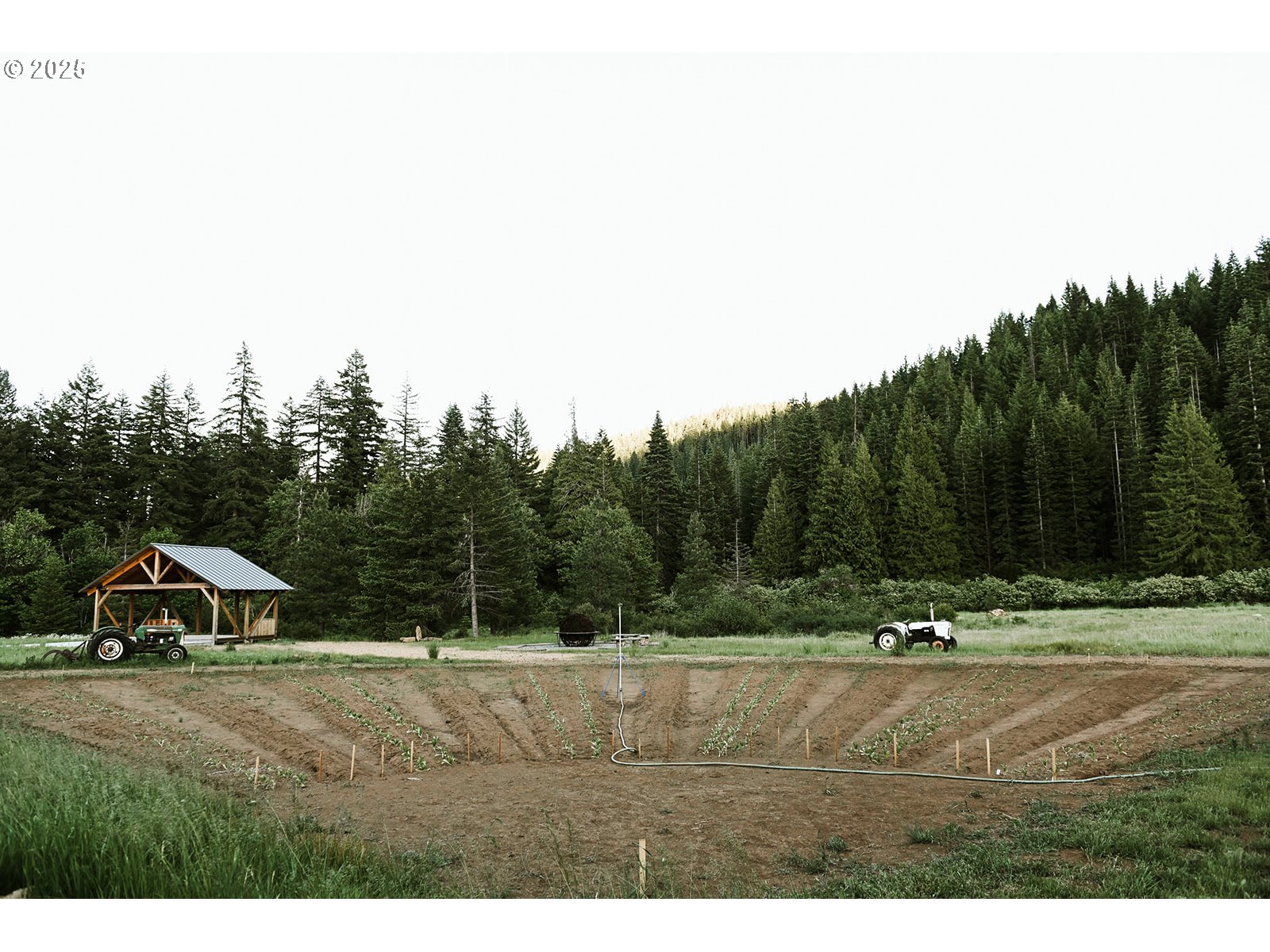 230 Jennings Road Trout Lake, WA 98650 - Photo 18 of 47 a view of a town with barn house