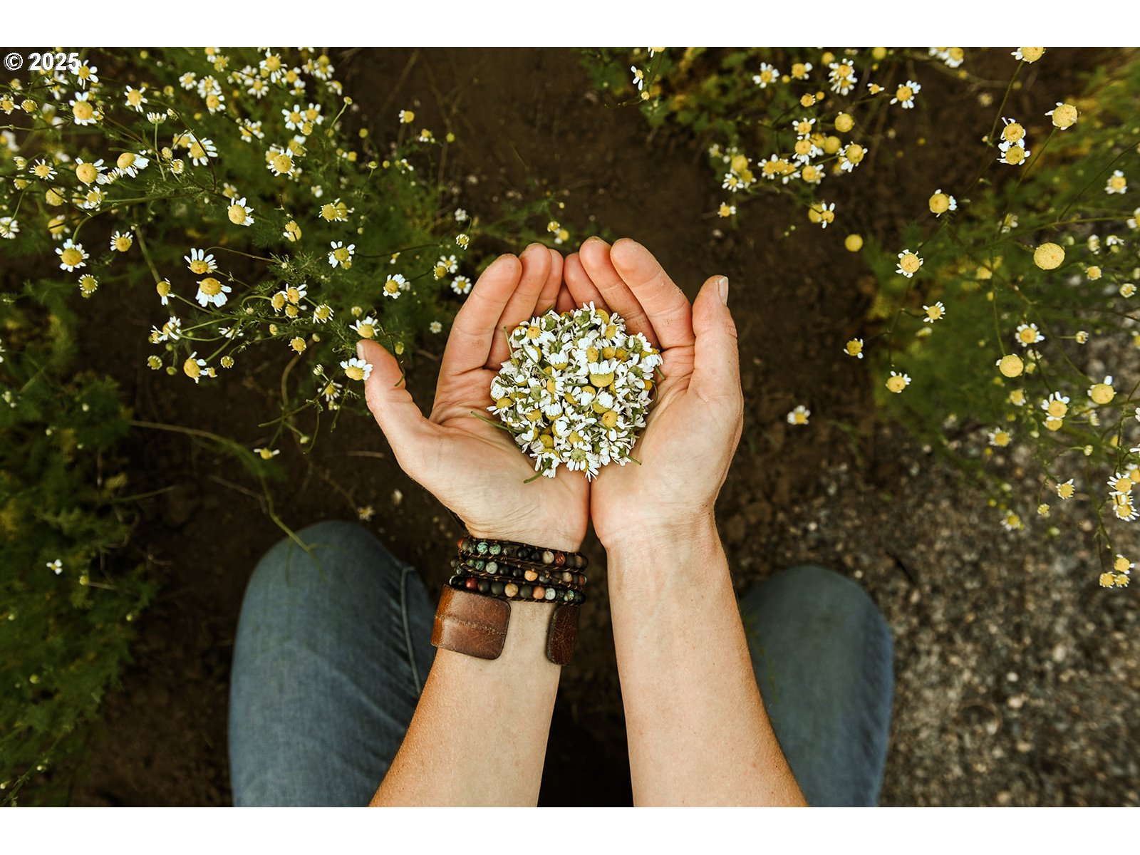 230 Jennings Road Trout Lake, WA 98650 - Photo 24 of 47