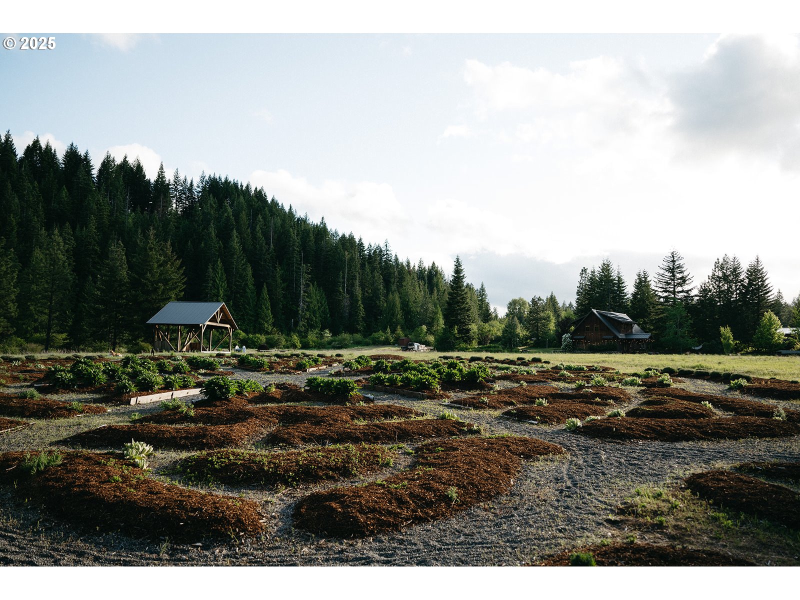 230 Jennings Road Trout Lake, WA 98650 - Photo 26 of 47 a view of lawn chairs and umbrella