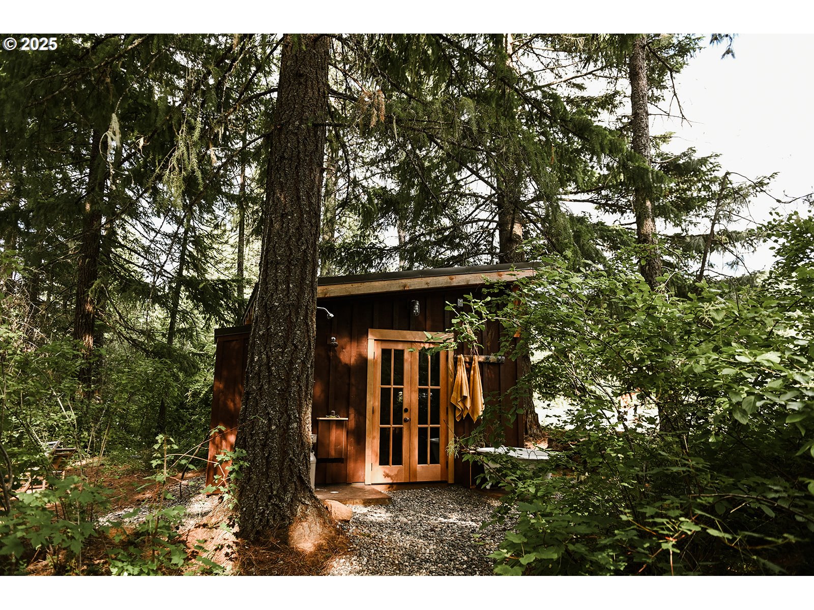 230 Jennings Road Trout Lake, WA 98650 - Photo 27 of 47 a view of outdoor space and yard