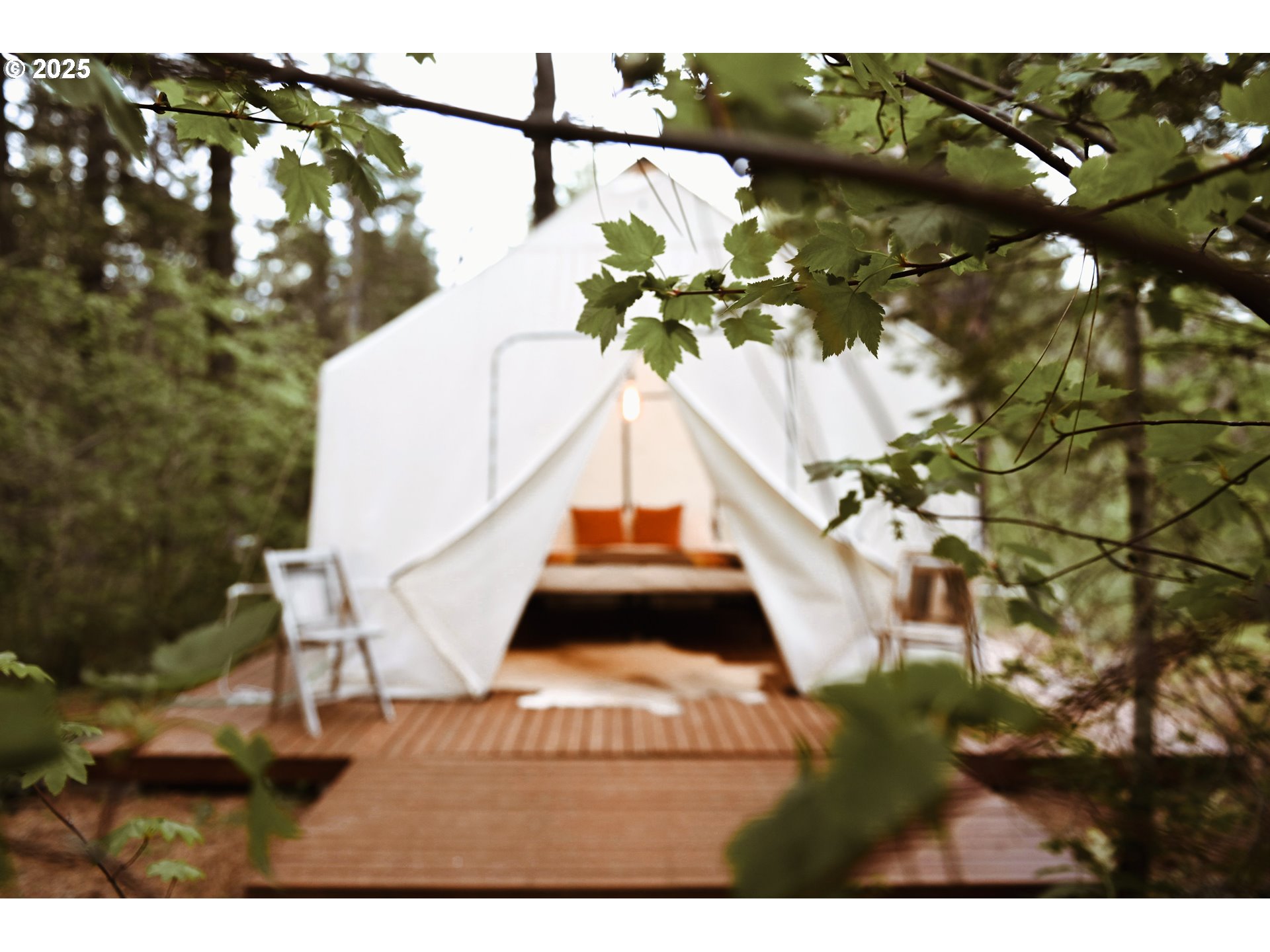 230 Jennings Road Trout Lake, WA 98650 - Photo 42 of 47