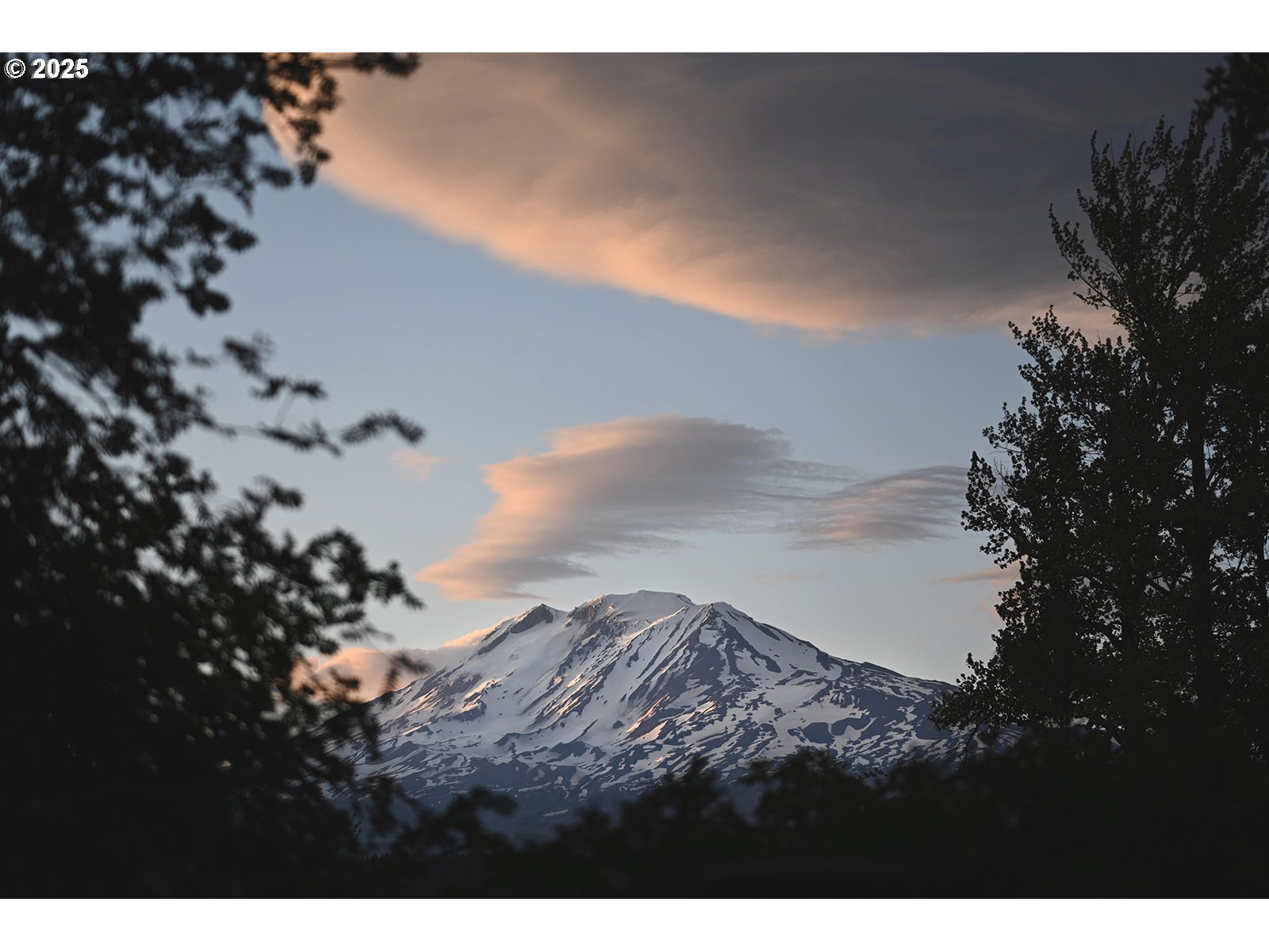230 Jennings Road Trout Lake, WA 98650 - Photo 43 of 47 a view of outdoor space and yard
