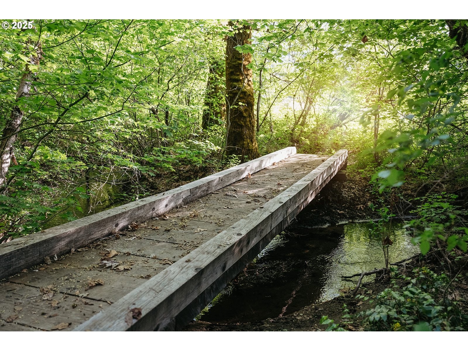 230 Jennings Road Trout Lake, WA 98650 - Photo 44 of 47 a view of swimming pool from a yard