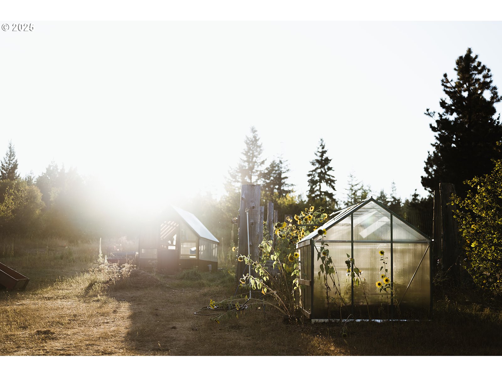230 Jennings Road Trout Lake, WA 98650 - Photo 46 of 47 a view of a town with trees in the background