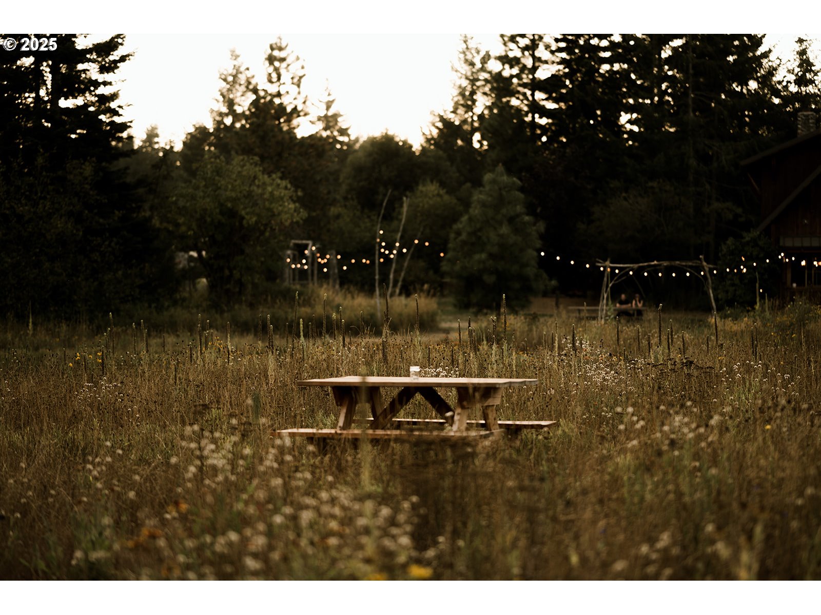 230 Jennings Road Trout Lake, WA 98650 - Photo 47 of 47 a view of a lake