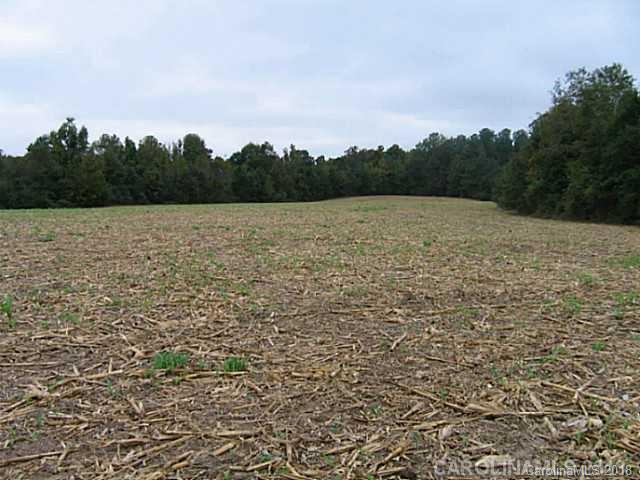 0 Witmore Road Wingate, NC 28174 - Photo 10 of 11 Gallery Image 10