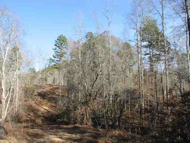 River River Jarrett Ridge Roads Westminster, SC 29693 - Photo 2 of 5 Gallery Image 2