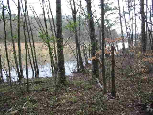 River River Jarrett Ridge Roads Westminster, SC 29693 - Photo 3 of 5 Gallery Image 3