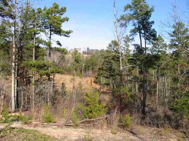 River River Jarrett Ridge Roads Westminster, SC 29693 - Photo 4 of 5 Gallery Image 4