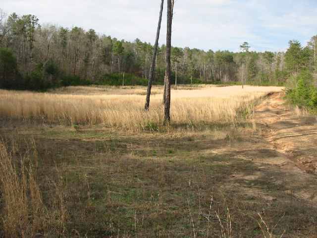 River River Jarrett Ridge Roads Westminster, SC 29693 - Photo 5 of 5 Gallery Image 5