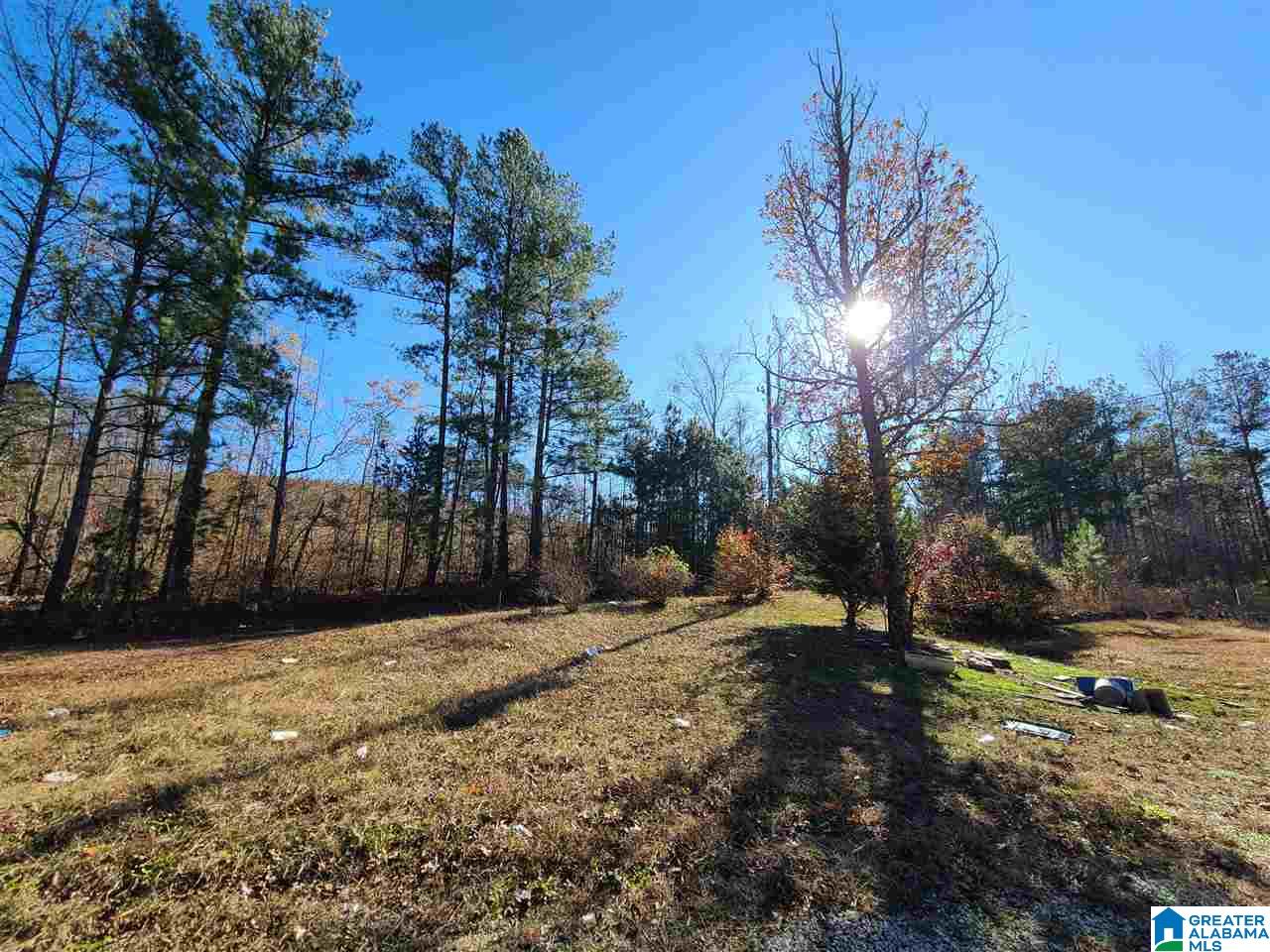 3360 Possum Trot Road Piedmont, AL 36272 - Photo 2 of 7