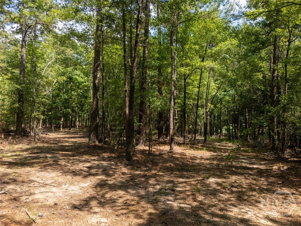 0 Winding Ridge Drive Dillard, GA 30537 - Photo 17 of 19 Gallery Image 17