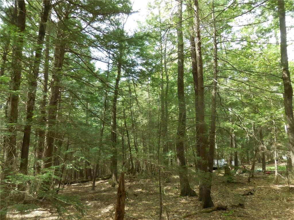 54 Johnson Road Windham, ME 04062 - Photo 13 of 17 Photo