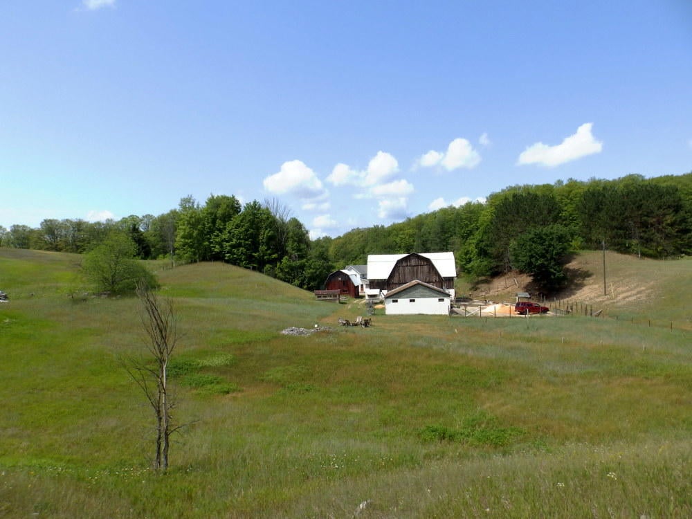 5413 Wilkinson Road Gaylord, MI 49735 - Photo 12 of 75 Gallery Image 12