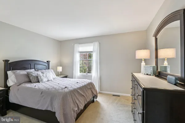 a view of a park with large trees