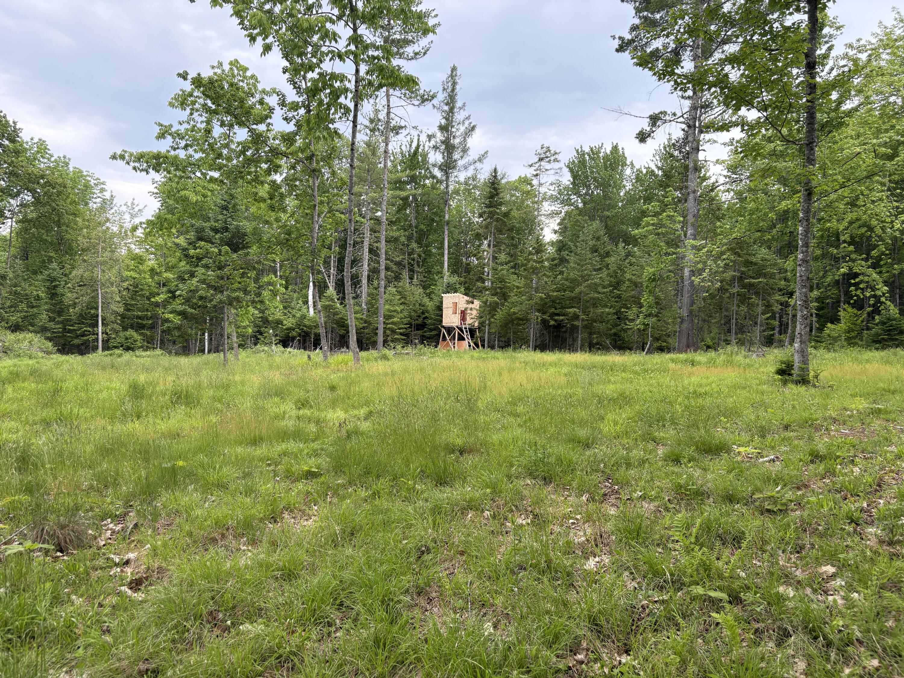 22 Back Parkman Road Abbot, ME 04406 - Photo 22 of 38