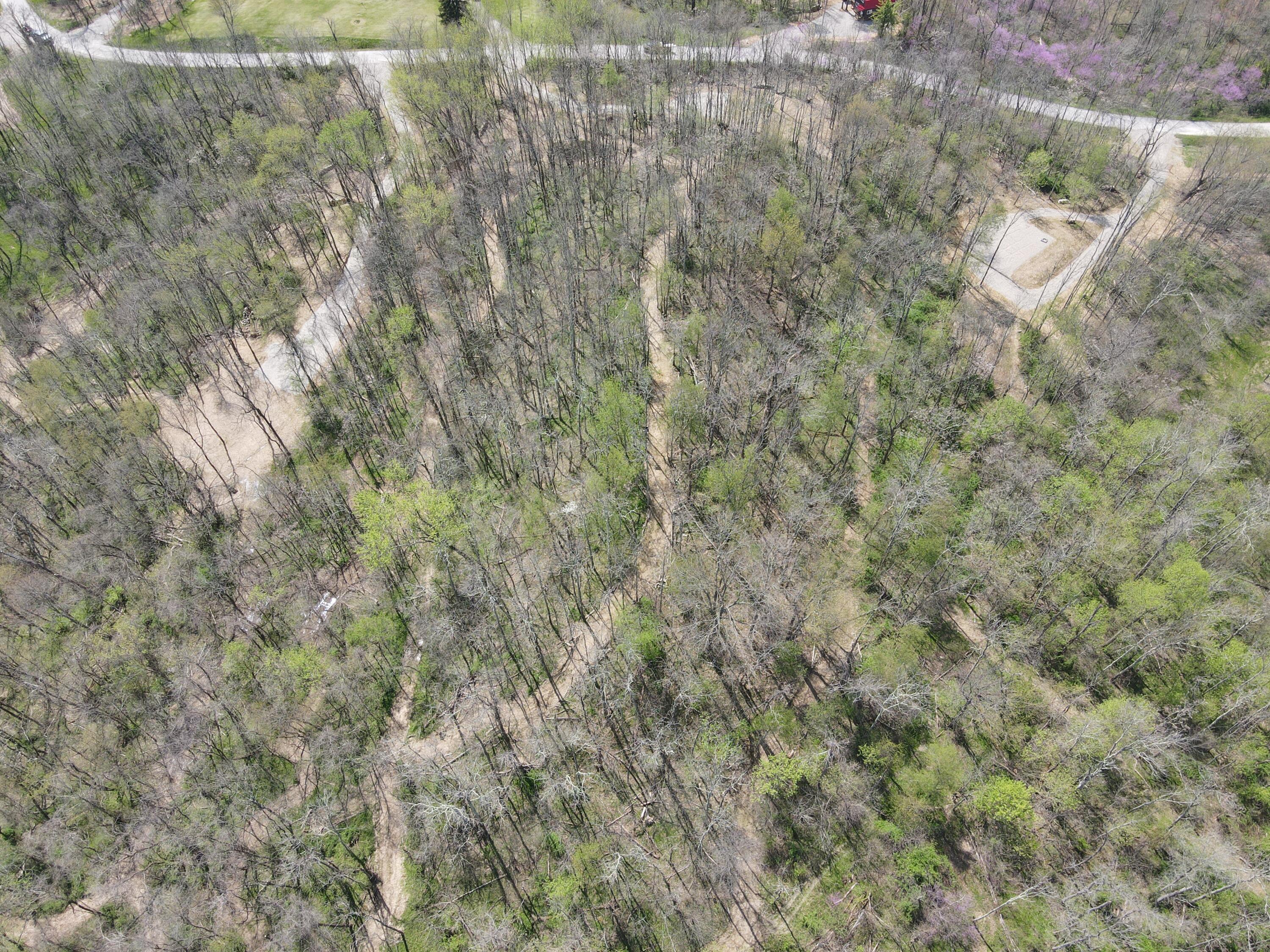 8670 Hoop Pole Road Roseville, OH 43777 - Photo 10 of 65 DJI_0003