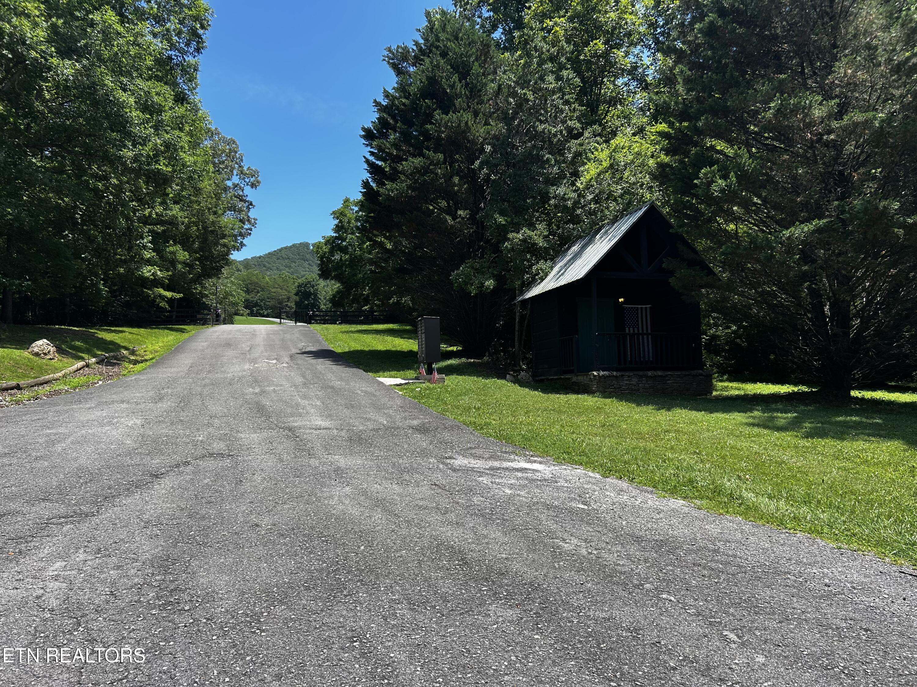 Highlands Bluff Road Tellico Plains, TN 37385 - Photo 4 of 5 IMG_6855