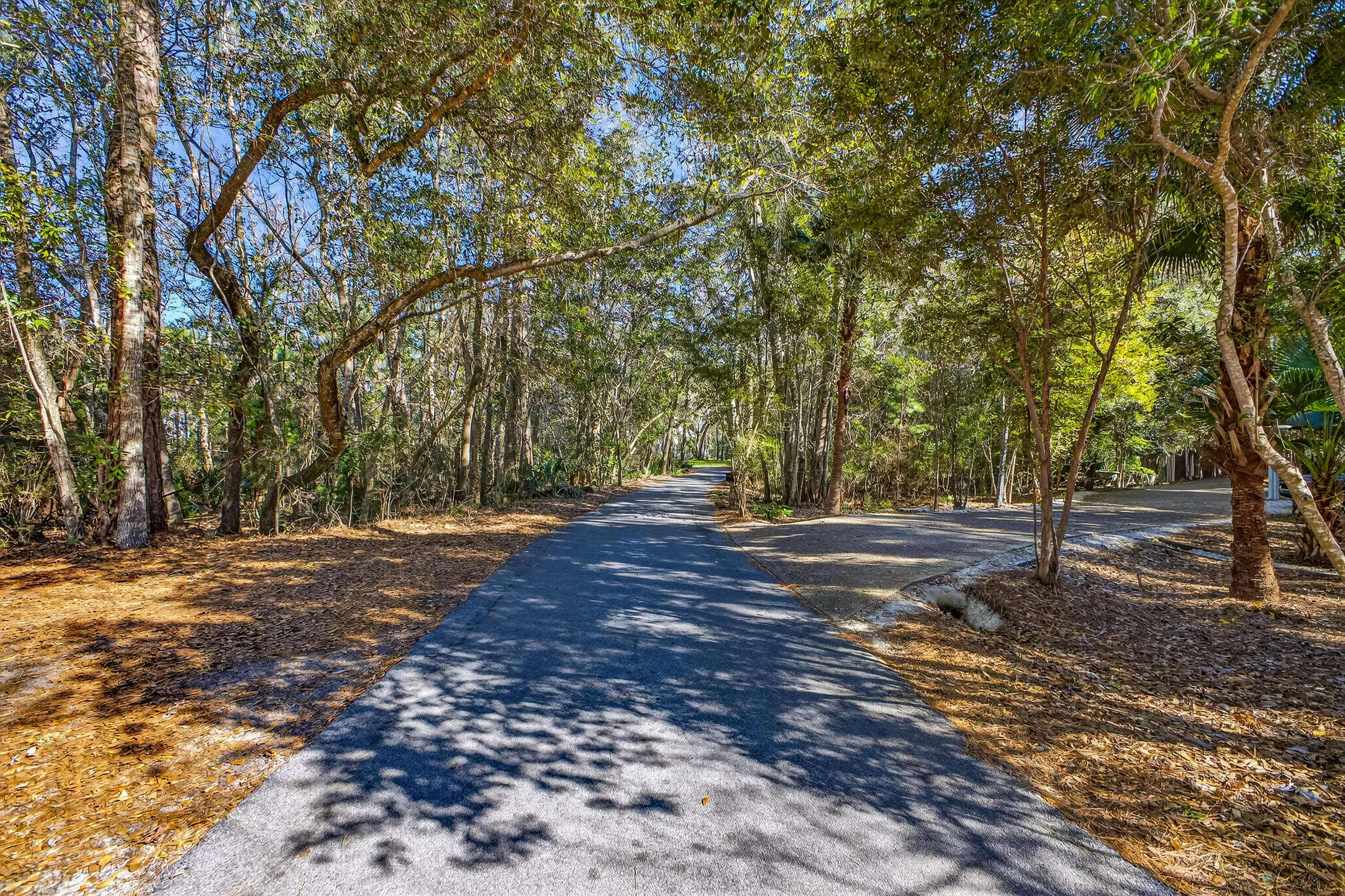 56 East Shallows Drive Santa Rosa Beach, FL 32459 - Photo 2 of 54 a view of a yard with plants and trees