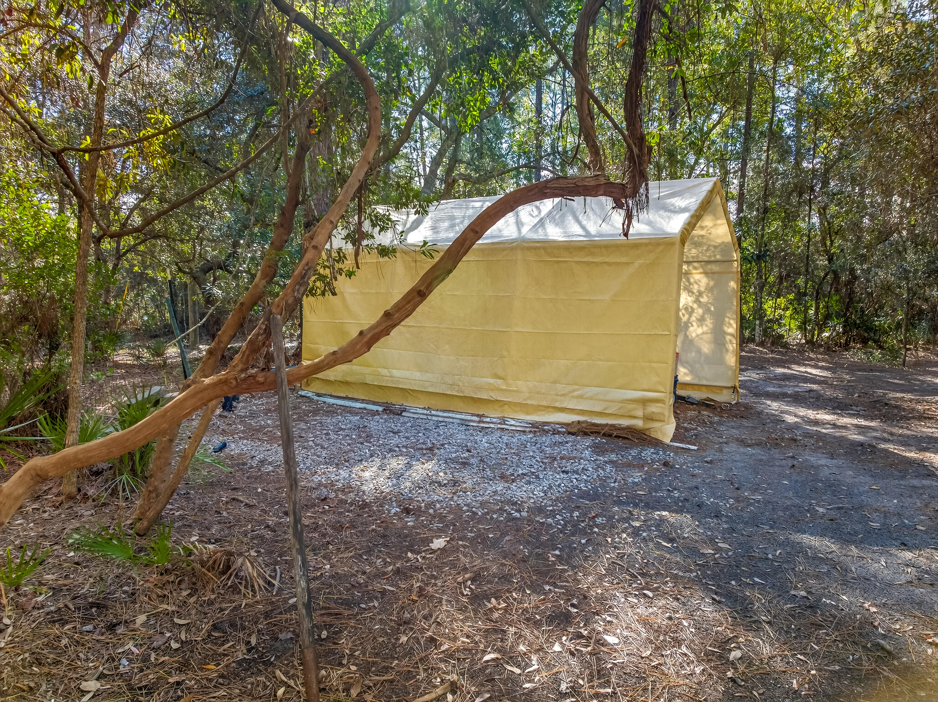 56 East Shallows Drive Santa Rosa Beach, FL 32459 - Photo 40 of 54 a view of swimming pool with a backyard