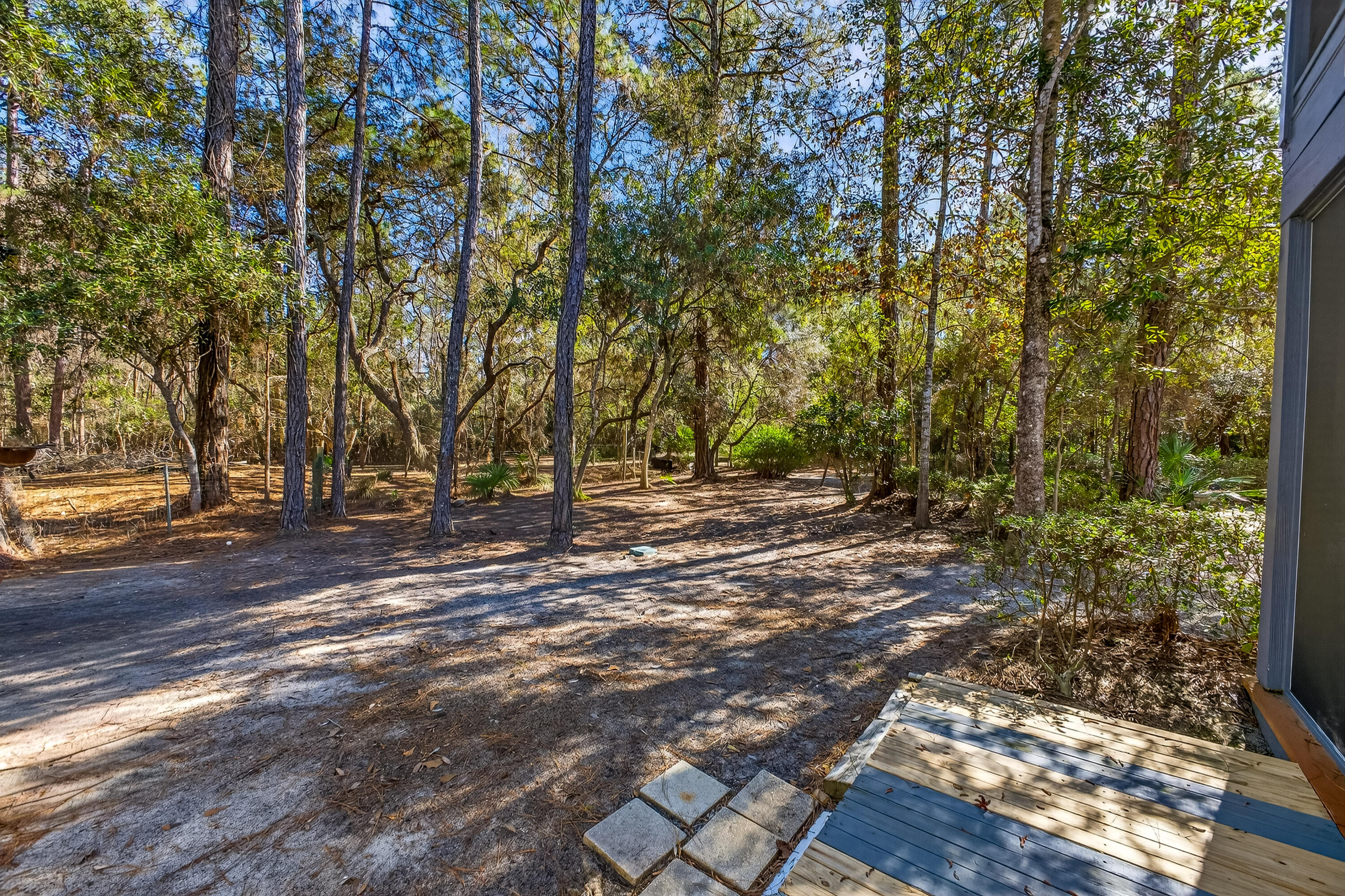 56 East Shallows Drive Santa Rosa Beach, FL 32459 - Photo 43 of 54 a view of backyard with green space
