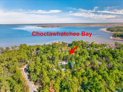 a view of a yard with plants and trees