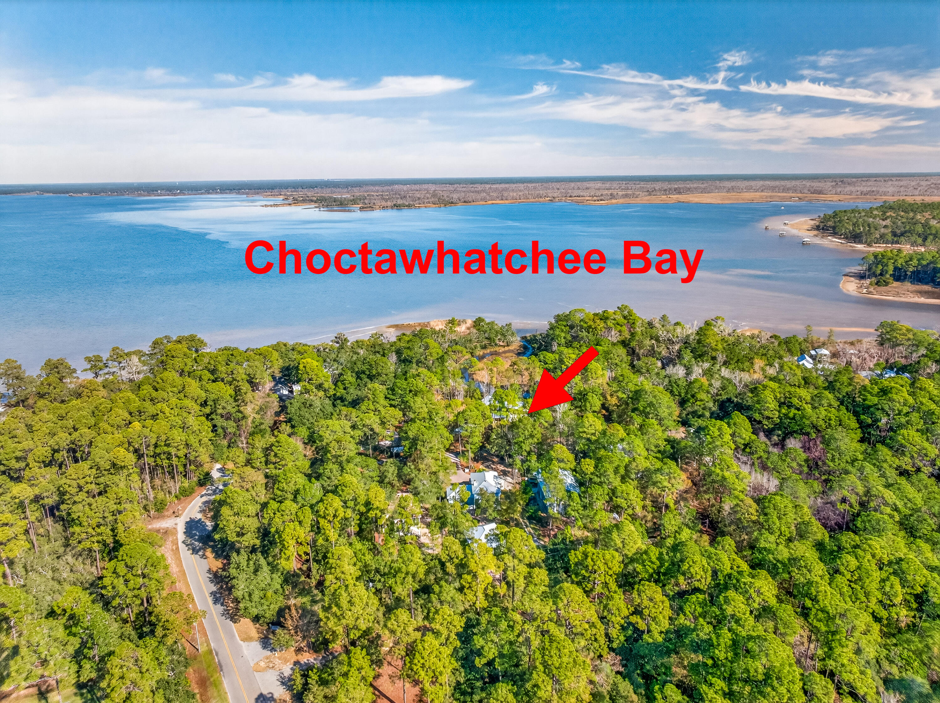 56 East Shallows Drive Santa Rosa Beach, FL 32459 - Photo 44 of 54 a view of a bunch of flowers