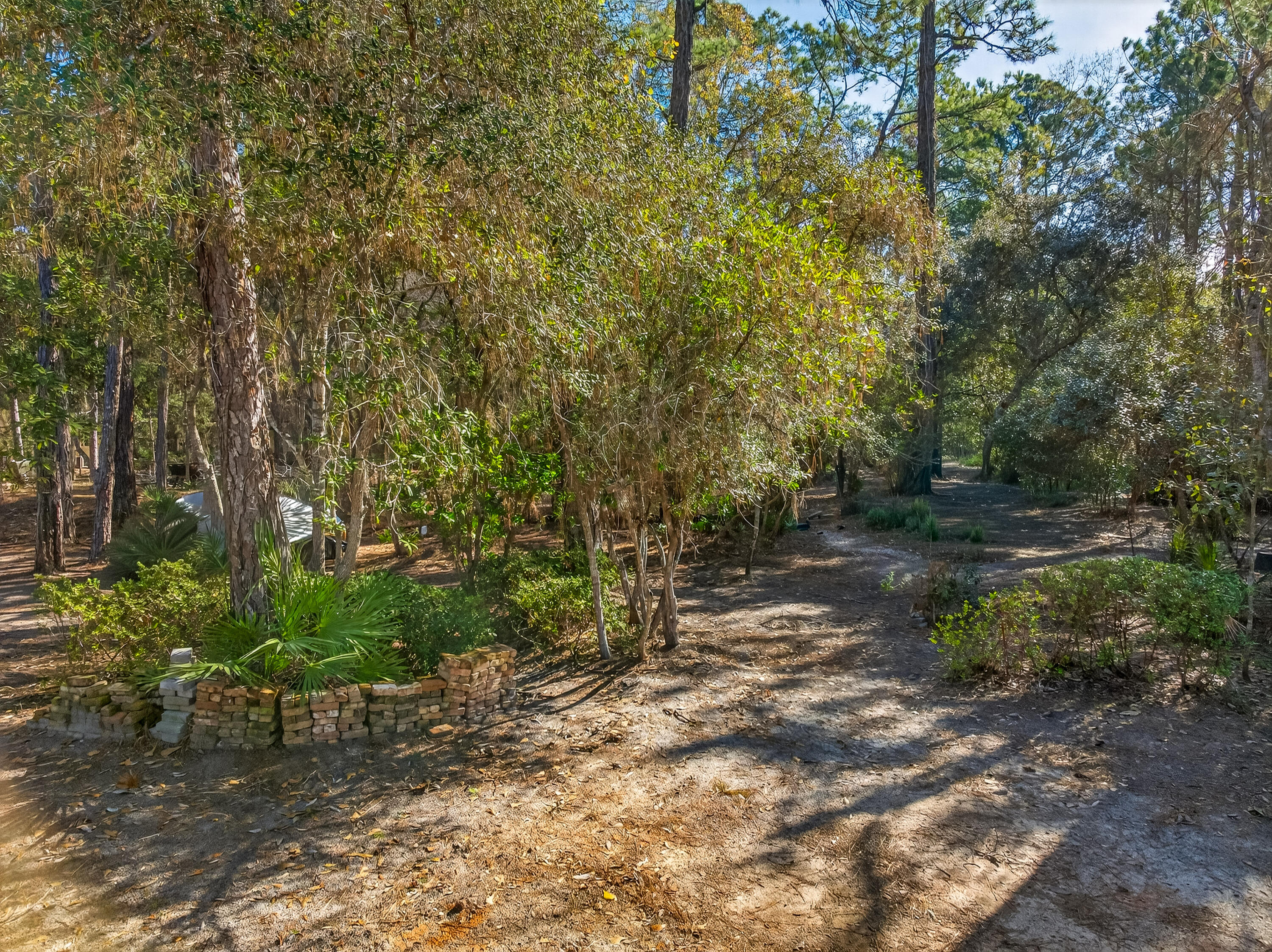 56 East Shallows Drive Santa Rosa Beach, FL 32459 - Photo 52 of 54 a view of a yard with plants and trees