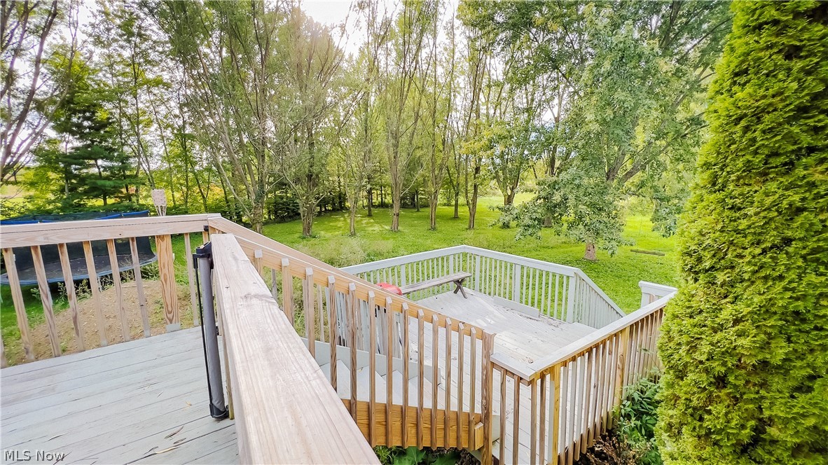 4418 Beat Road Litchfield, OH 44253 - Photo 6 of 24 Backyard Lower Deck