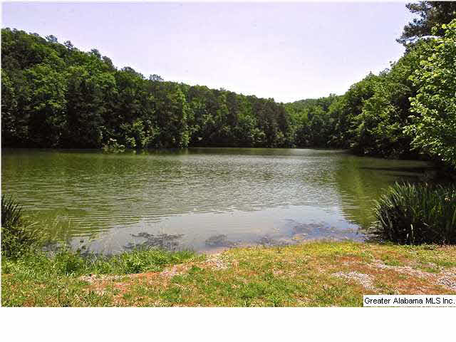 7730 Lake In The Woods Road Trussville, AL 35173 - Photo 25 of 29