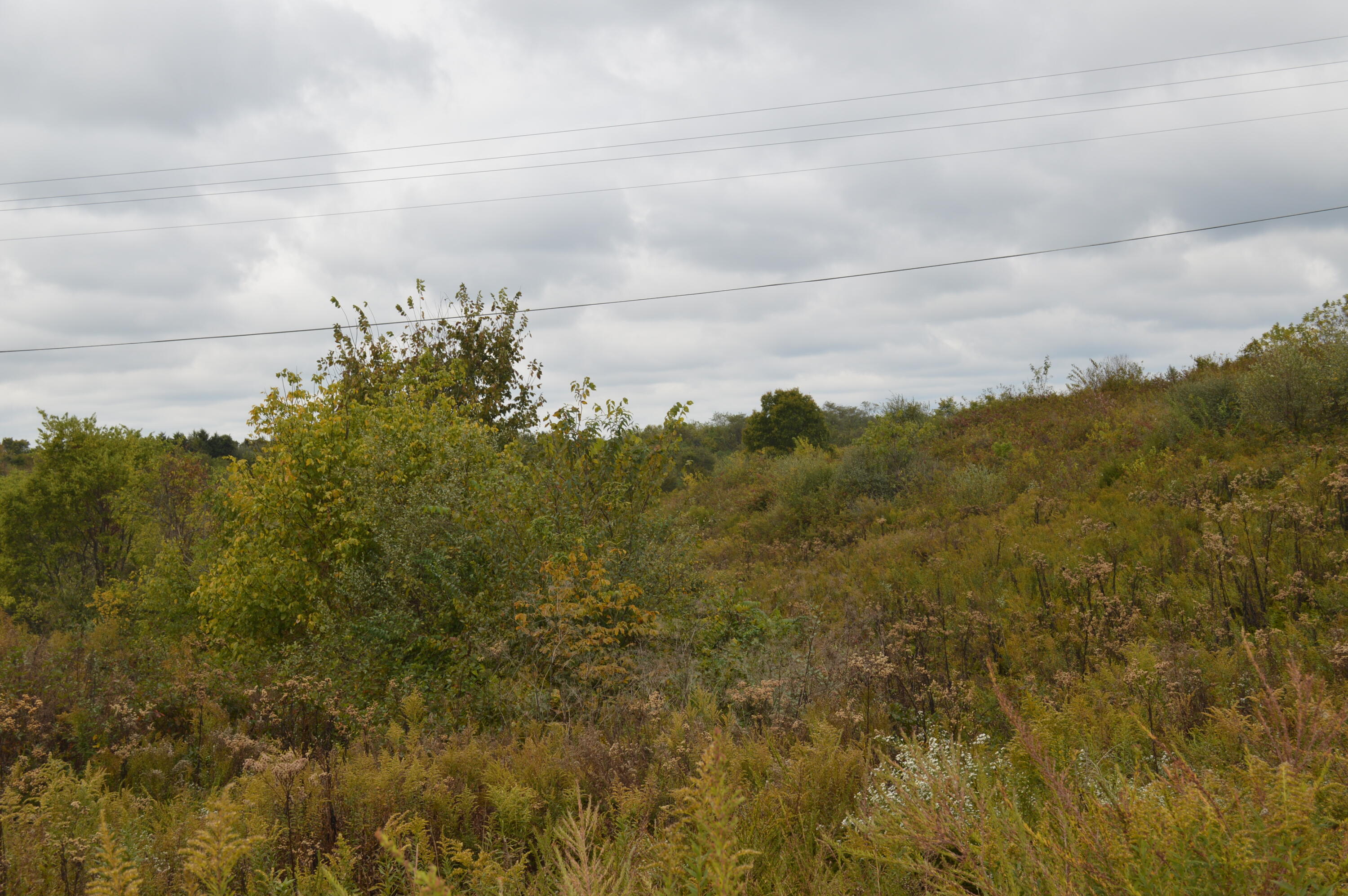 Lot #2 Georgetown Road Owenton, KY 40359 - Photo 6 of 10