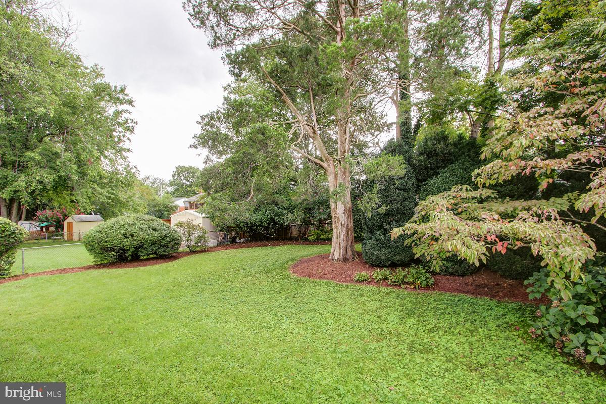 4804 Red Fox Road Rockville, MD 20852 - Photo 31 of 31 Gallery Image 31