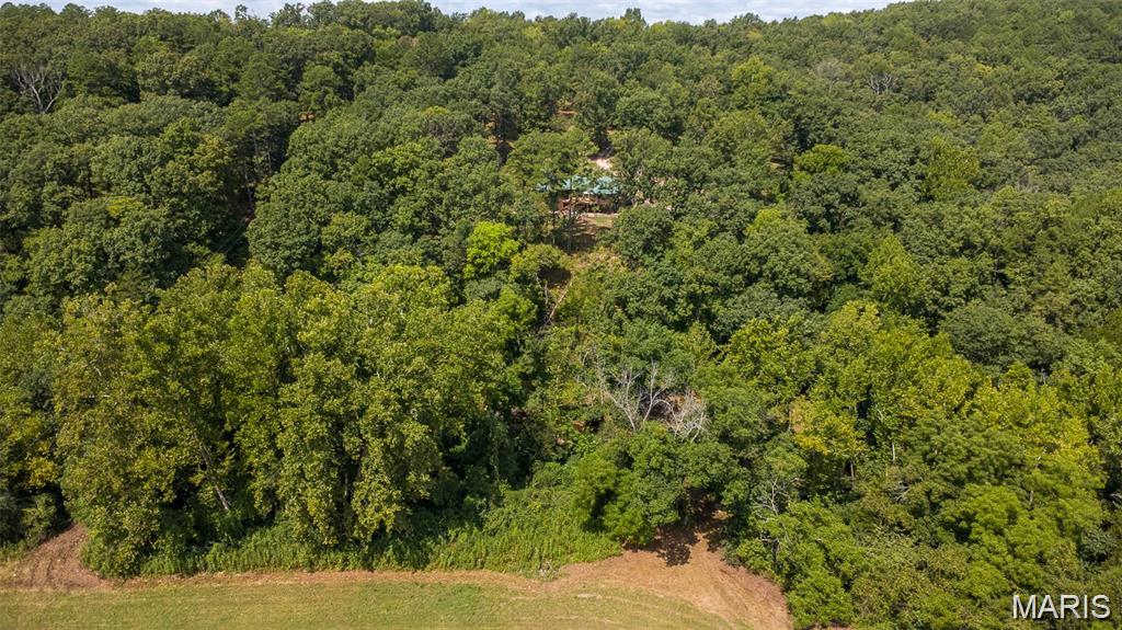10300 Prescott Road Licking, MO 65542 - Photo 40 of 51
