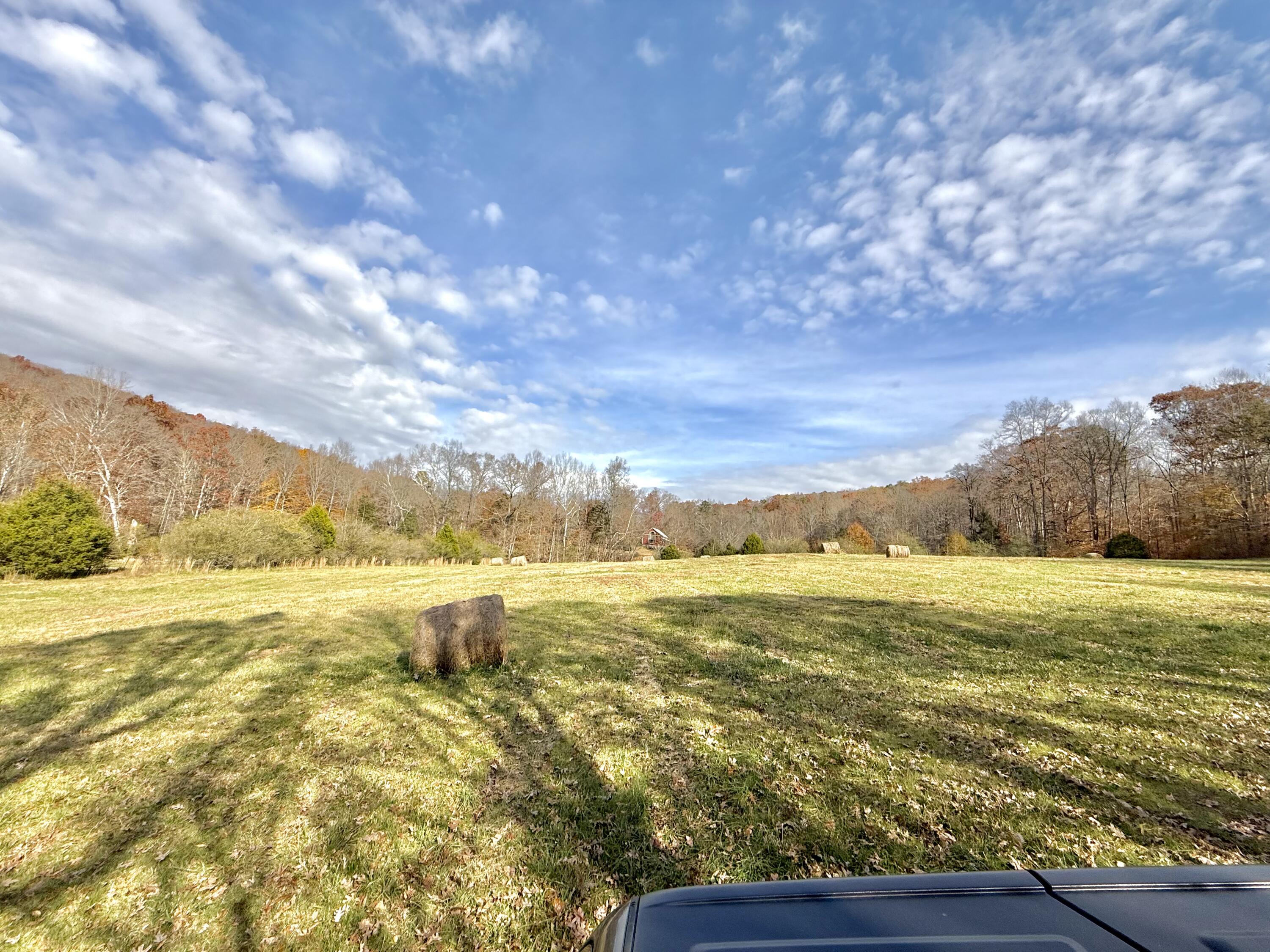 6461 Highway 30 Decatur, TN 37322 - Photo 57 of 66 IMG_6709