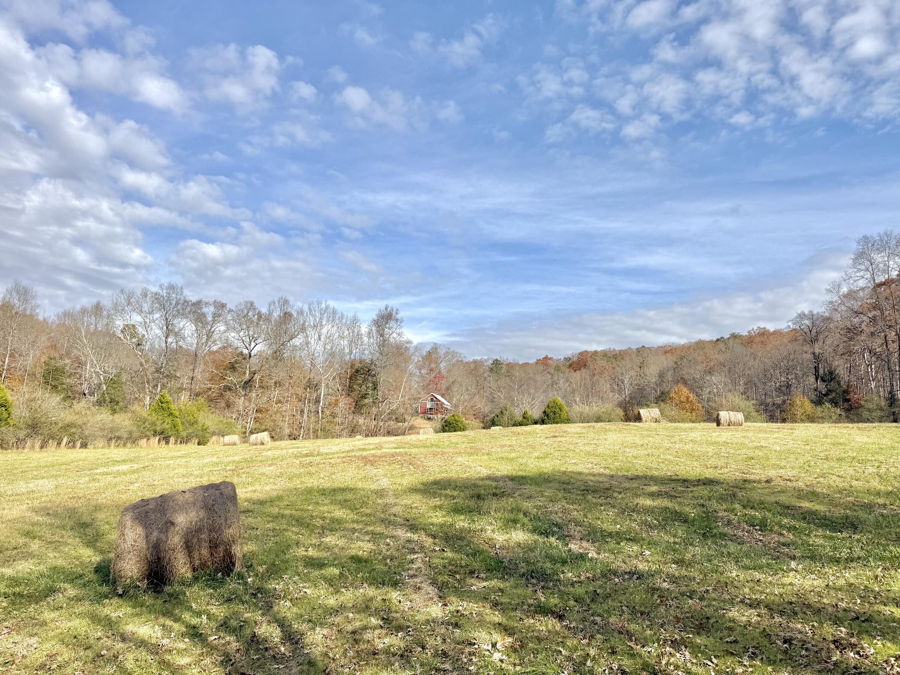 6461 Highway 30 Decatur, TN 37322 - Photo 58 of 66 IMG_6708