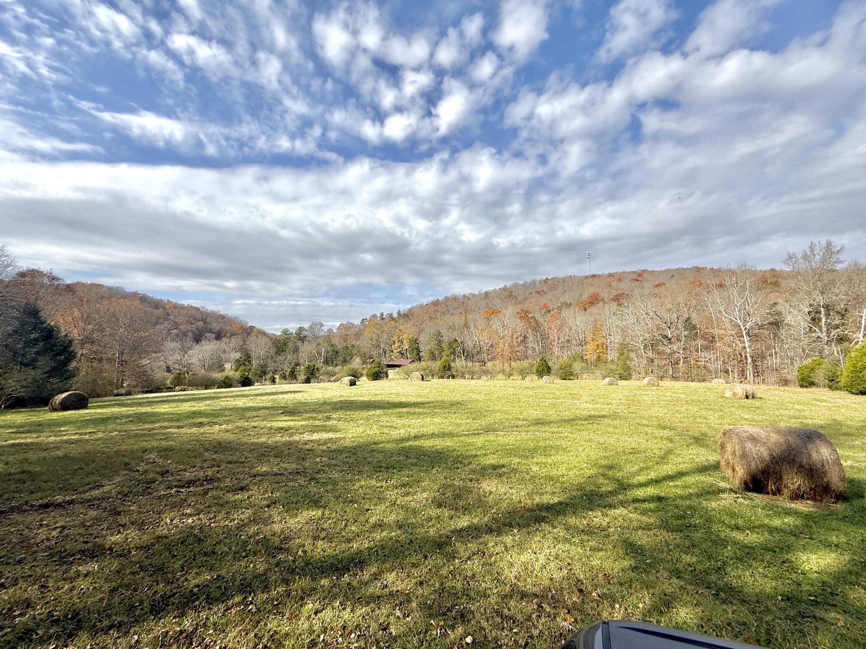 6461 Highway 30 Decatur, TN 37322 - Photo 60 of 66 IMG_6706