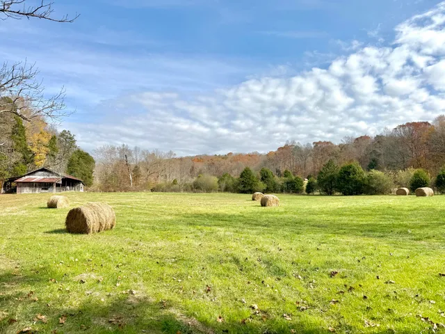 $1,250,000 | 6461 Highway 30, Decatur, TN 37322