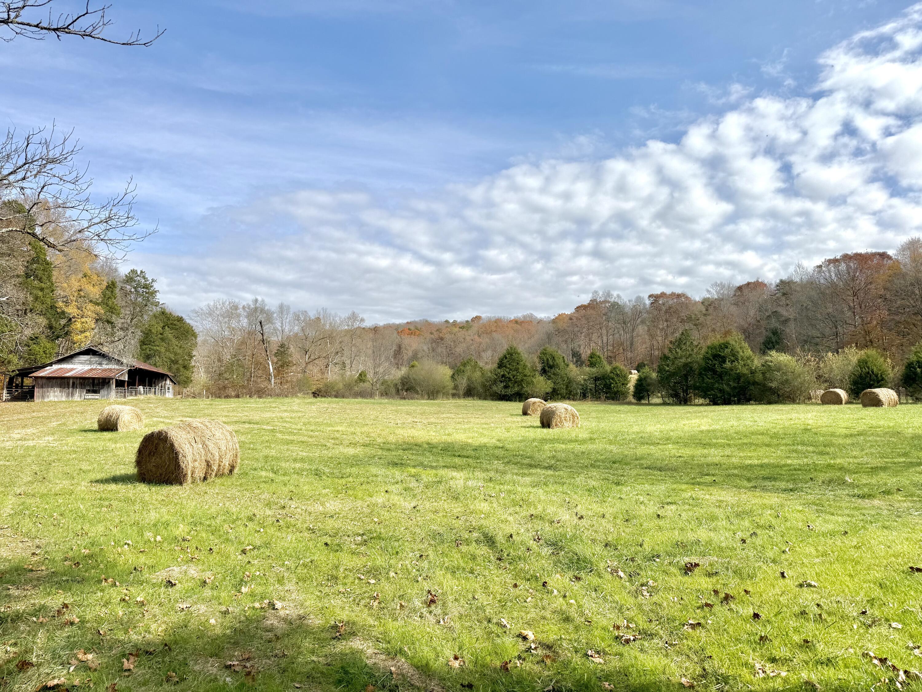 6461 Highway 30 Decatur, TN 37322 - Photo 61 of 66 IMG_6705