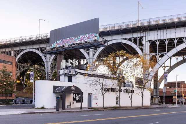a view of a street with a tree