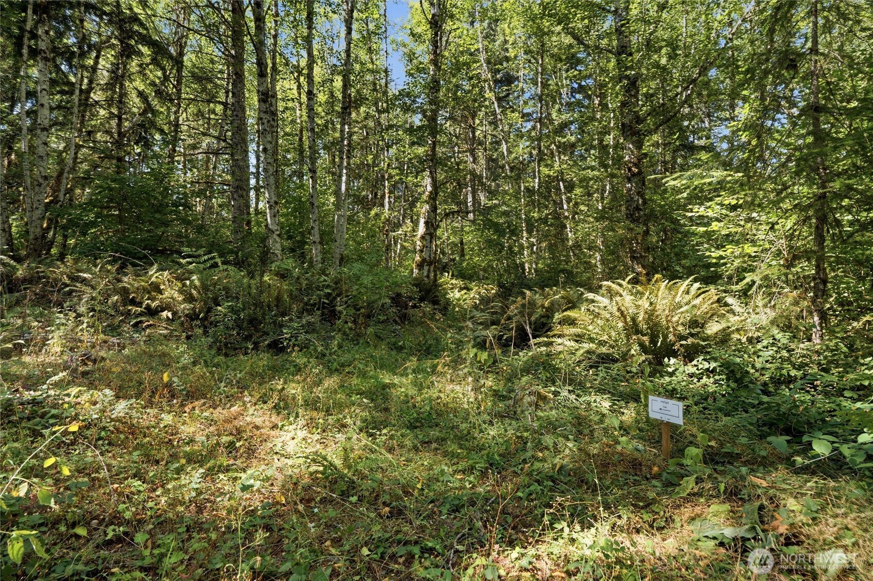 2041 East Rasor Road Belfair, WA 98528 - Photo 10 of 22 Gallery Image 10