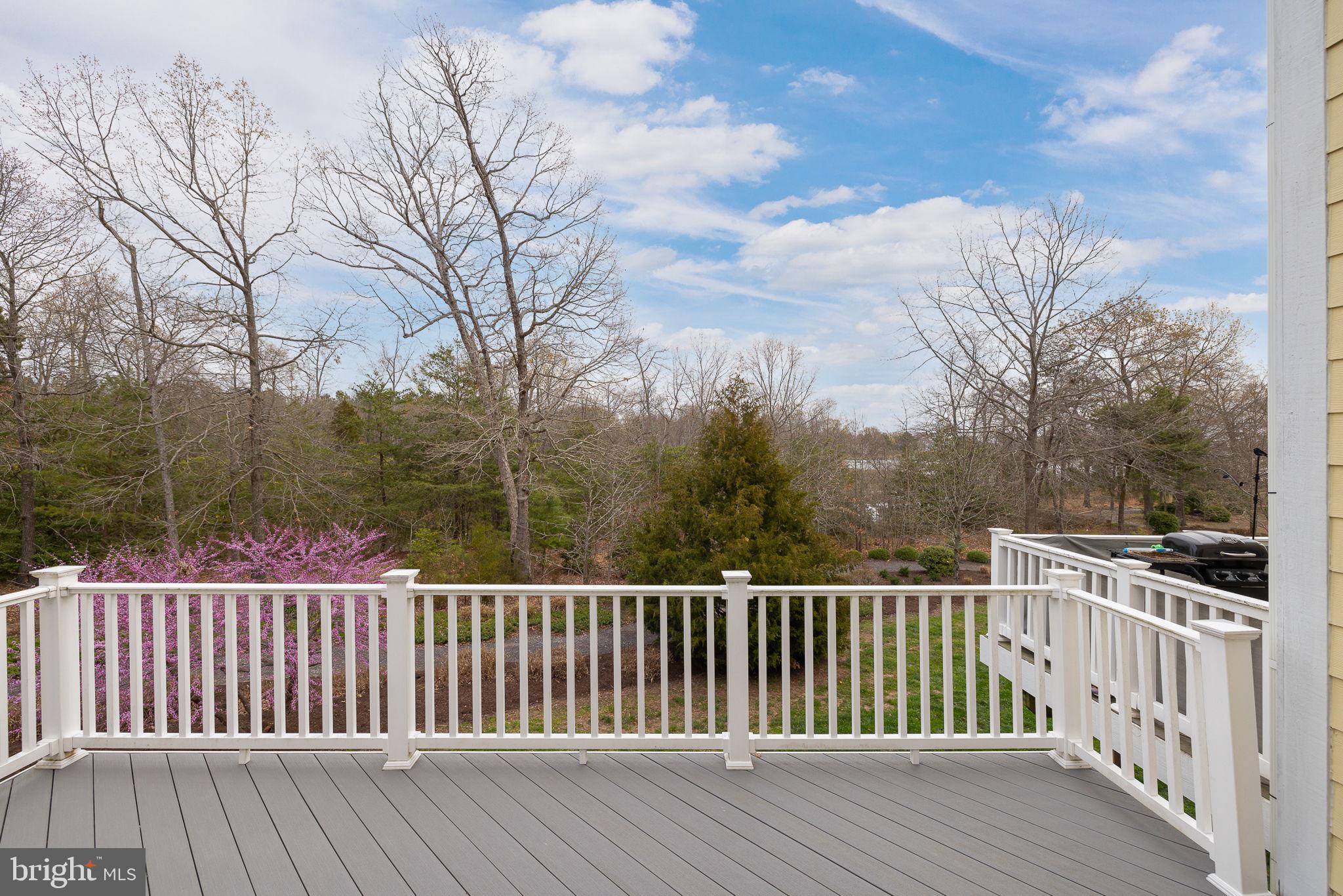 207 Monroe Point Drive Colonial Beach, VA 22443 - Photo 30 of 44
