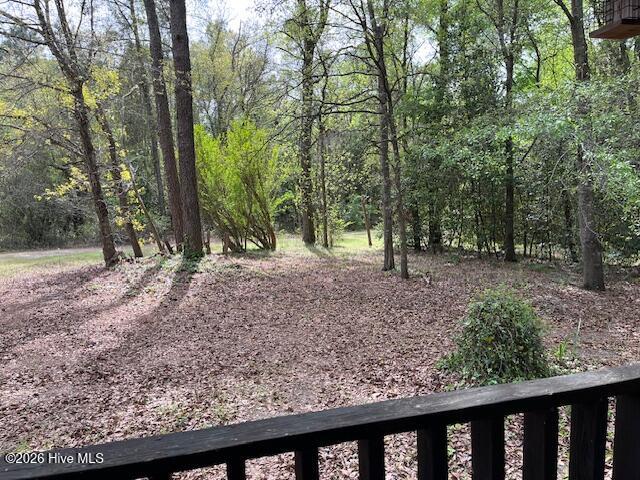 408 Guy Sanderson Road Albertson, NC 28508 - Photo 14 of 23 IMG_0304