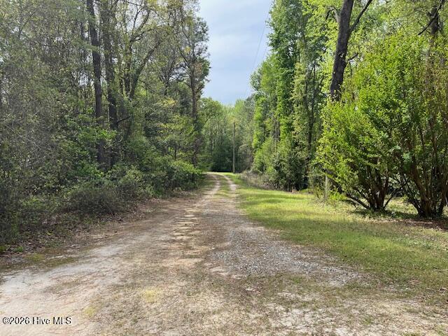 408 Guy Sanderson Road Albertson, NC 28508 - Photo 15 of 23 IMG_0305